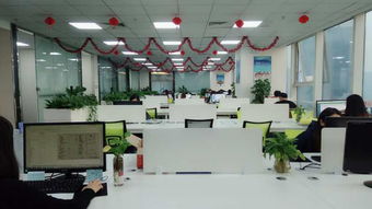 专业铸就卓越 伯勤企业的咨询与评估服务在龙岗区的深耕与展望